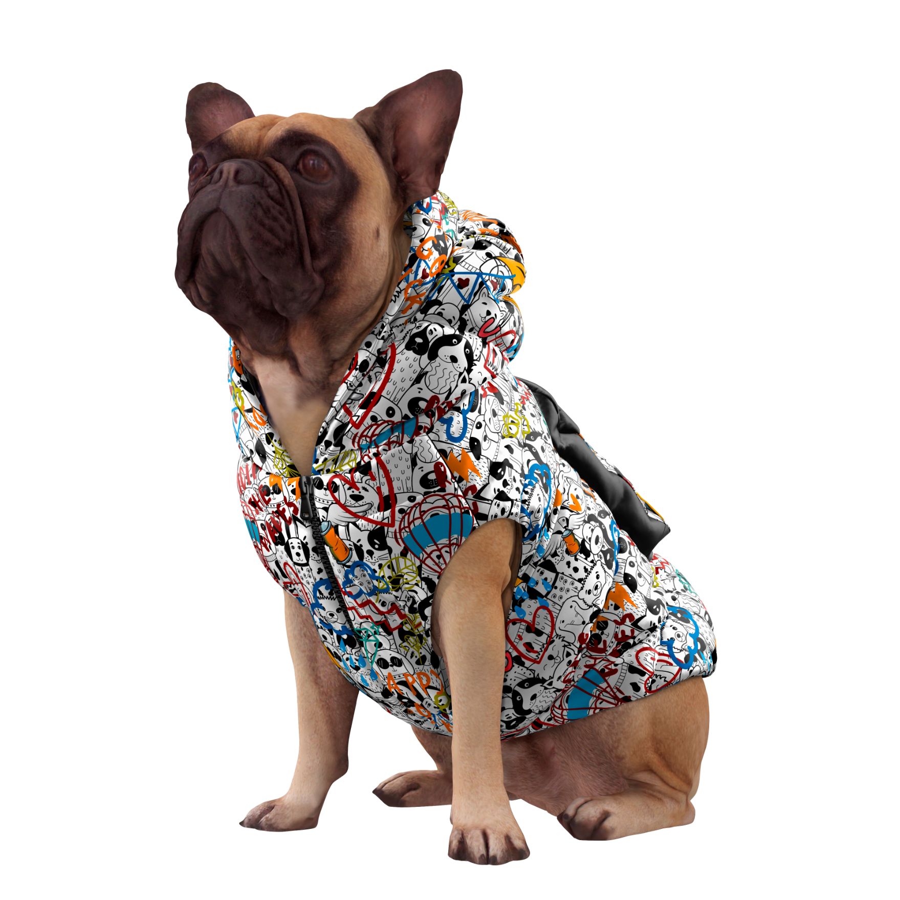 IT FBZ001 STAMPA DUDDLE3_4