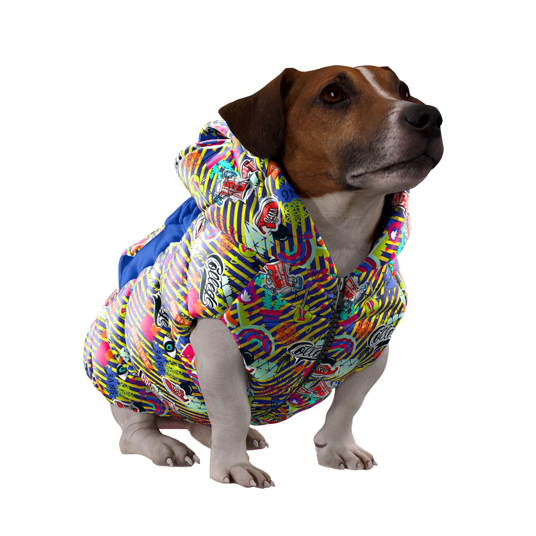 giubbotto cappottini cani