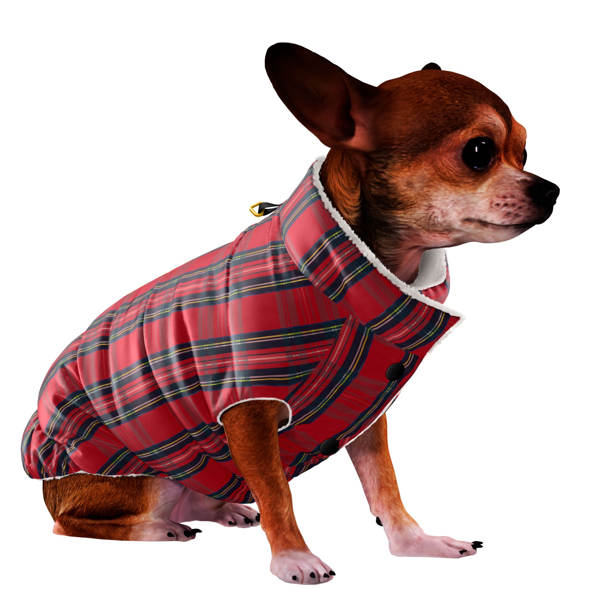 Giubbotto tartan cane
